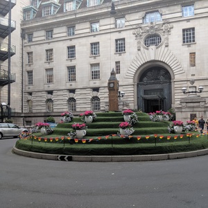 IMG_20190705_134935.jpg